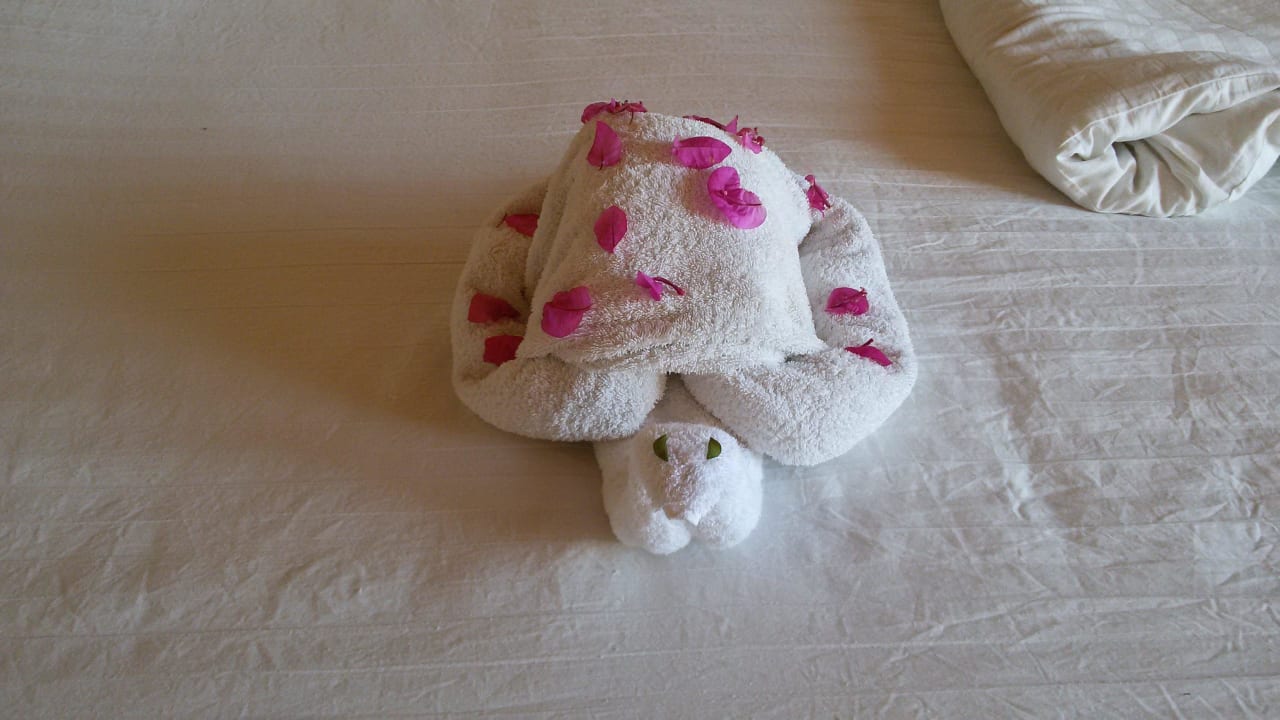 Zimmerservice Three Corners Sea Beach Resort