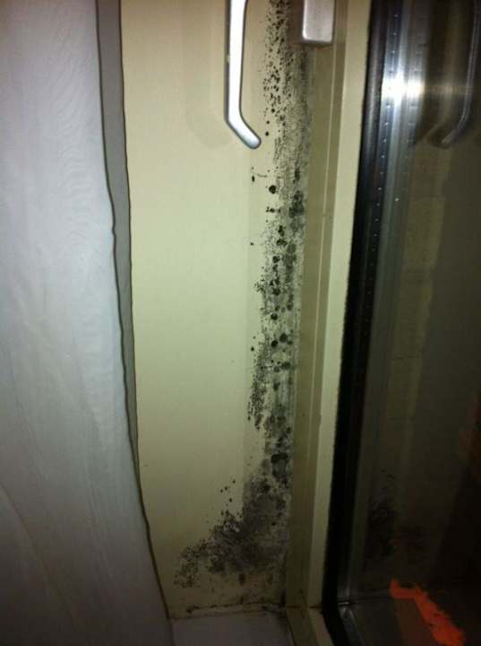 Schimmel an den Fenstern Ibis Styles London Walthamstow