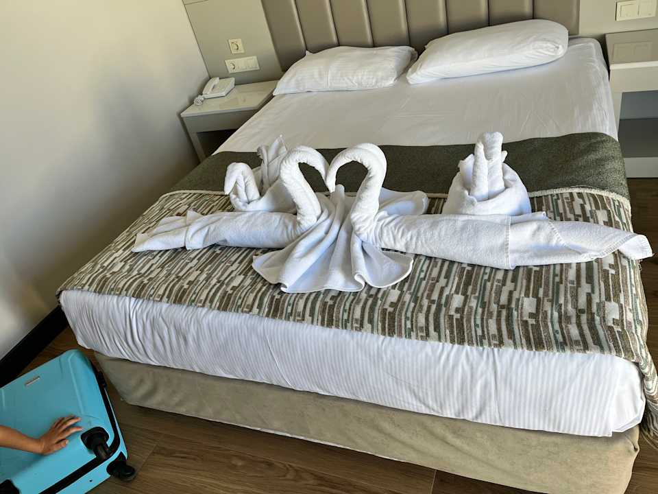 Zimmer Seaden Sea World Resort & Spa