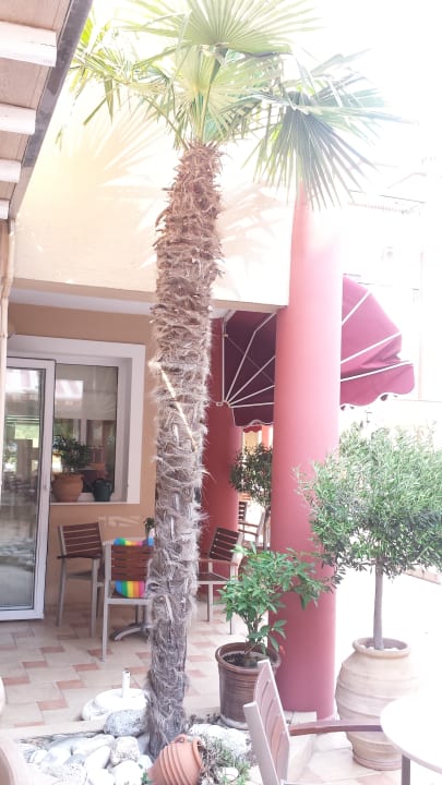 Außenansicht Evilion Sea & Sun Hotel