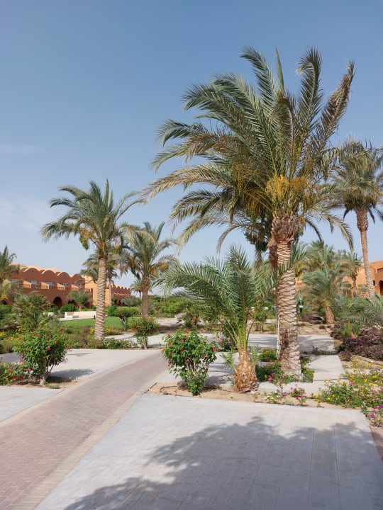 Gartenanlage Novotel Marsa Alam Beach Resort