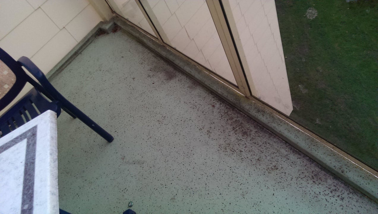 Balkon mit moos Ferienwohnungen Ferienpark Weissenhäuser Strand