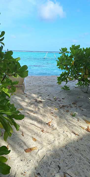 Strand Summer Island Maldives