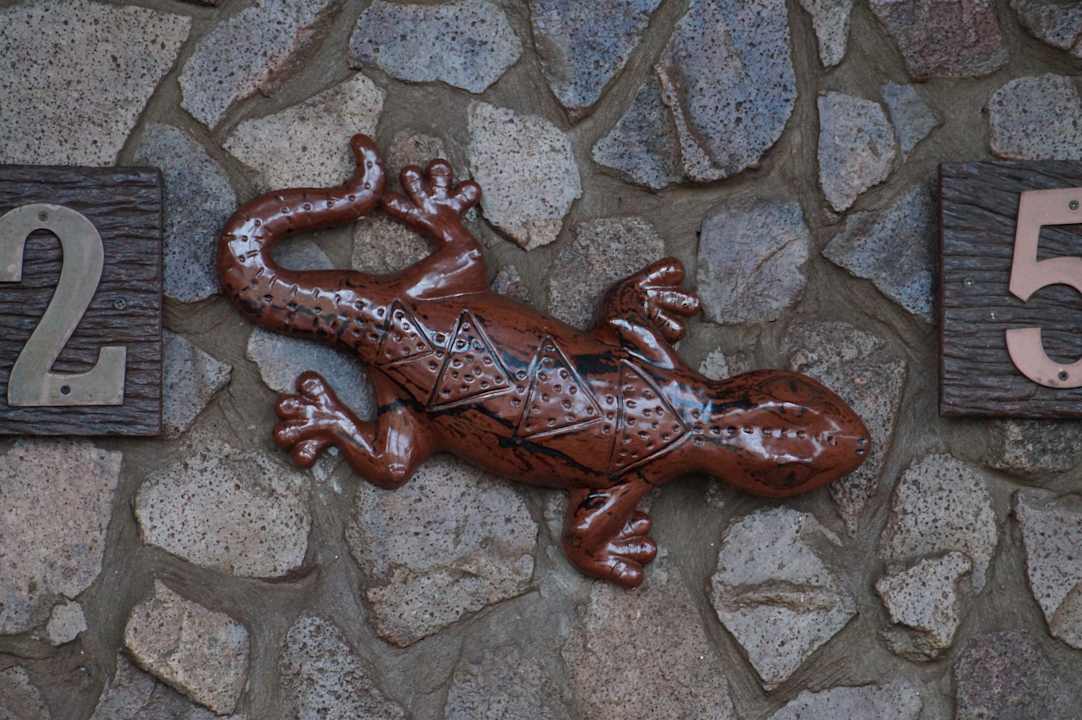 Sonstiges Hotel Zulu Nyala Game Lodge