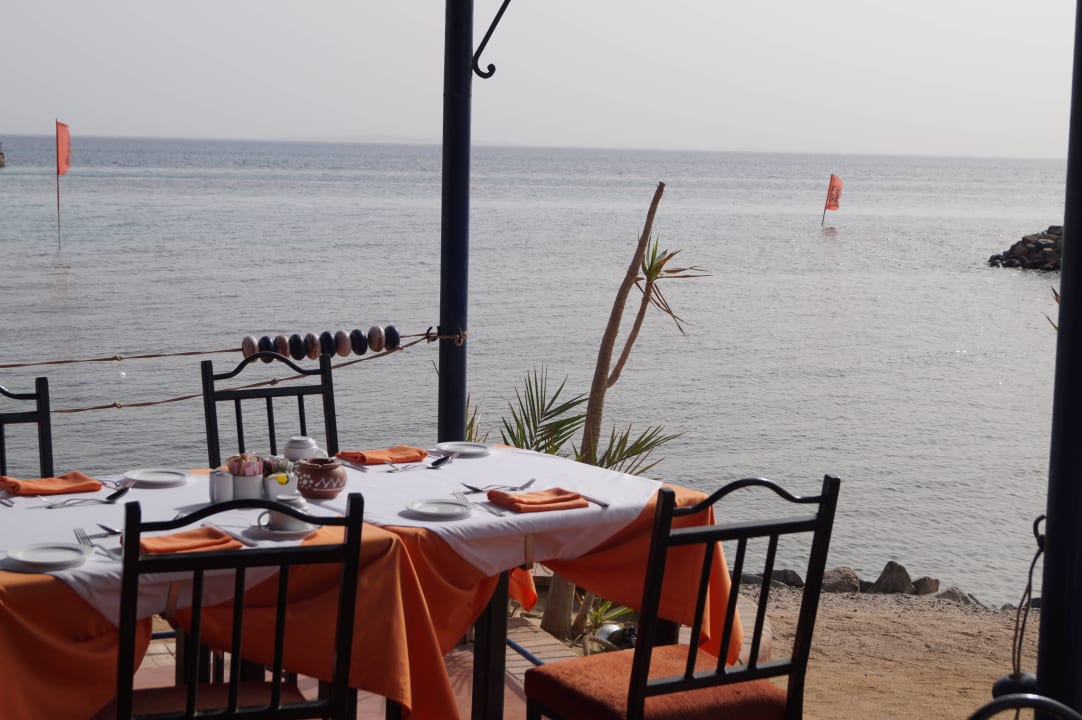 Frühstück direkt am Stand Desert Rose