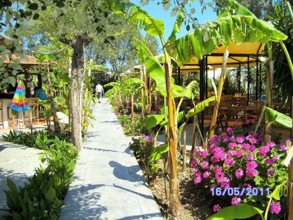 Weg zur Poolbar Irene Palace Beach Resort Club alltoura