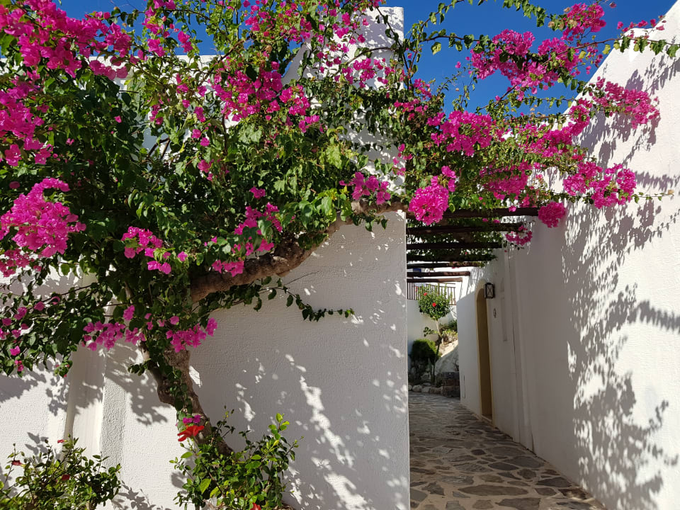 Gartenanlage Creta Maris Resort