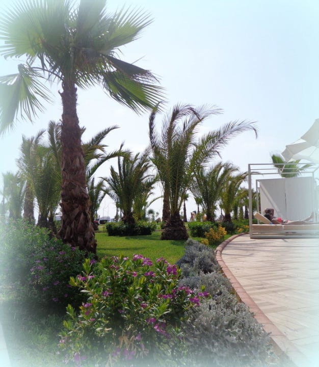 Impressionen Sultan of Dreams Hotel & Spa