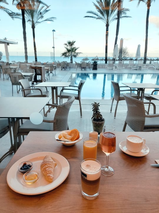 Gastro Myseahouse Flamingo - Adults only