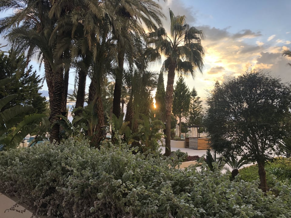 Außenansicht PALOMA Perissia