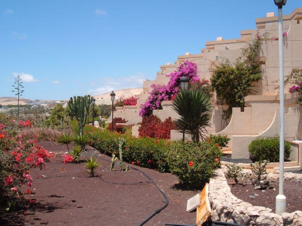 Anlage, Taro Beach SBH Hotel Taro Beach