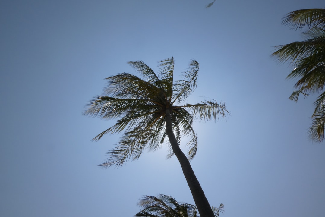 Sonstiges Kuredu Island Resort & Spa