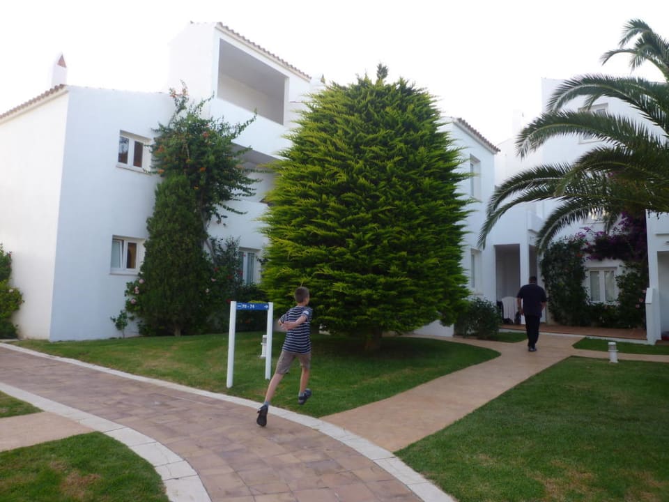 Grün, grüner, am grünsten! Grupotel Aldea Cala'n Bosch