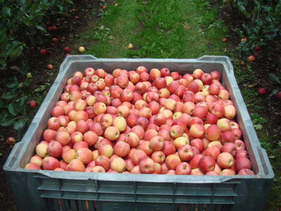 Ein Sammelbehälter von 300 Kg Pension Lärchenhof