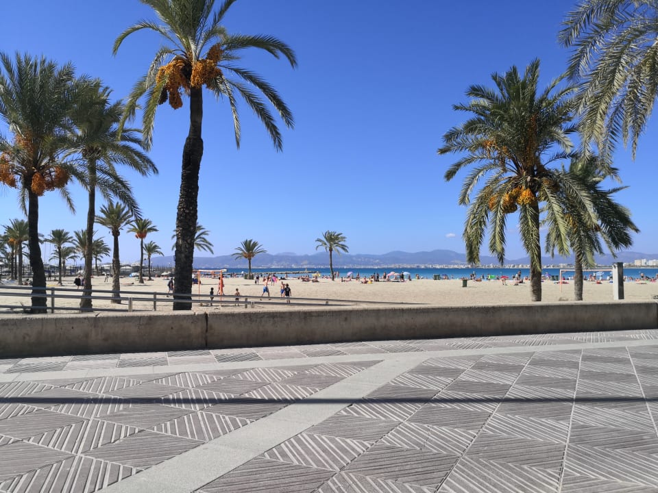 Strand HSM Reina del Mar