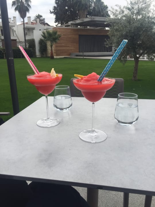 Gastro Acanthus Cennet Barut Collection