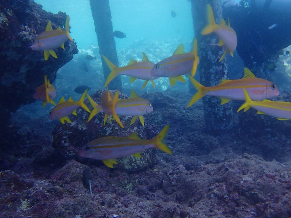 Sport & Freizeit Beach Safari Nubian Resort