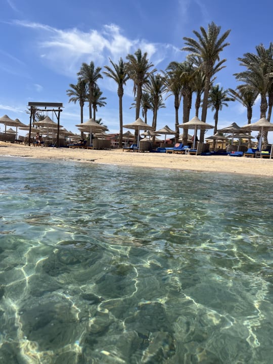 Zimmer Pickalbatros Vita Resort - Portofino Marsa Alam