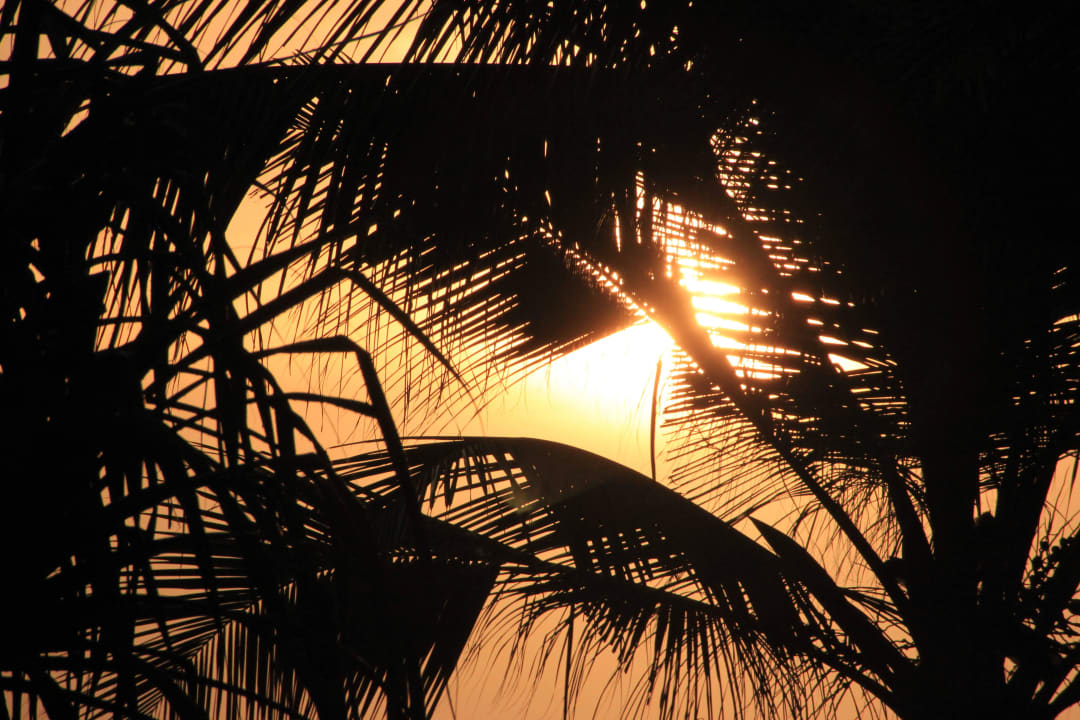 Sonnenuntergang vom Zimmer aus Mermaid Hotel & Club