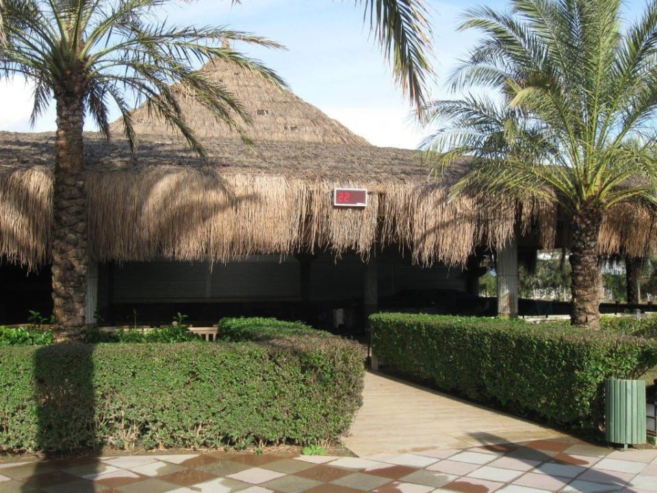 Hatten 22 Grad im Januar Royal Wings Hotel