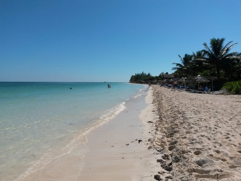 Strand Hotel Melia Cayo Coco - Adults only