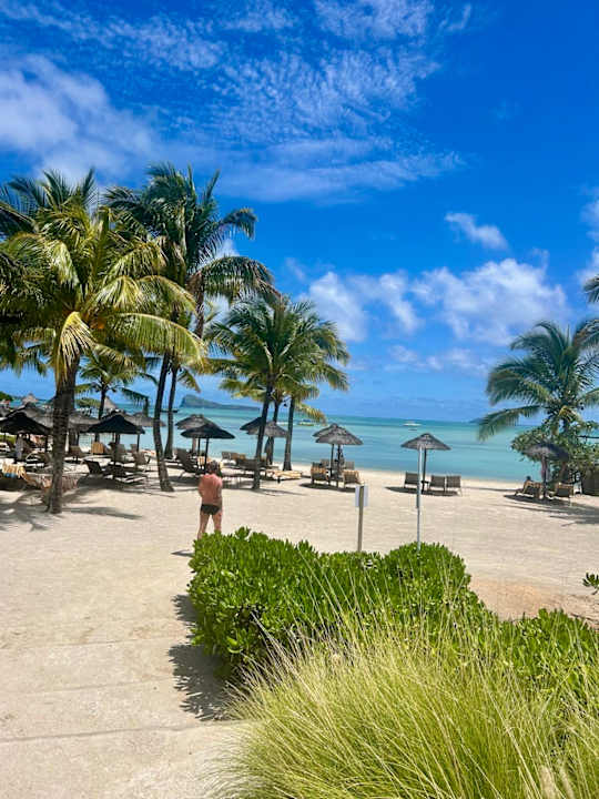 Strand Zilwa Attitude