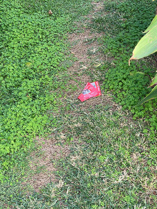 Gartenanlage Horus Paradise Luxury Resort & Club