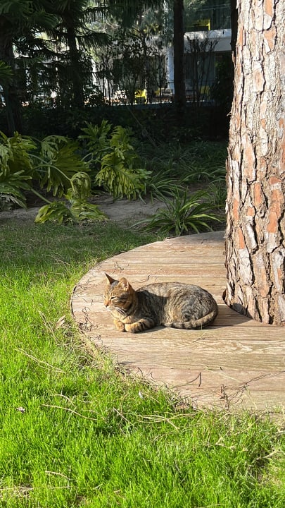 Sonstiges Voyage Belek Golf & Spa