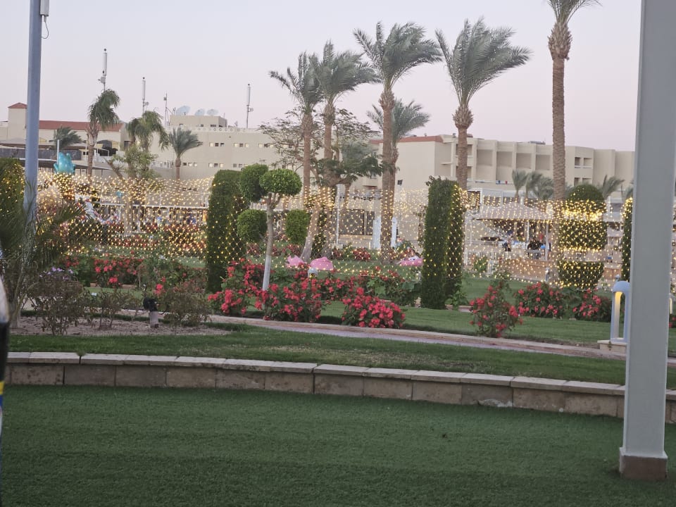 Gartenanlage Pickalbatros Palace Resort