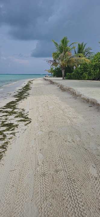 Strand Jawakara Islands Maldives