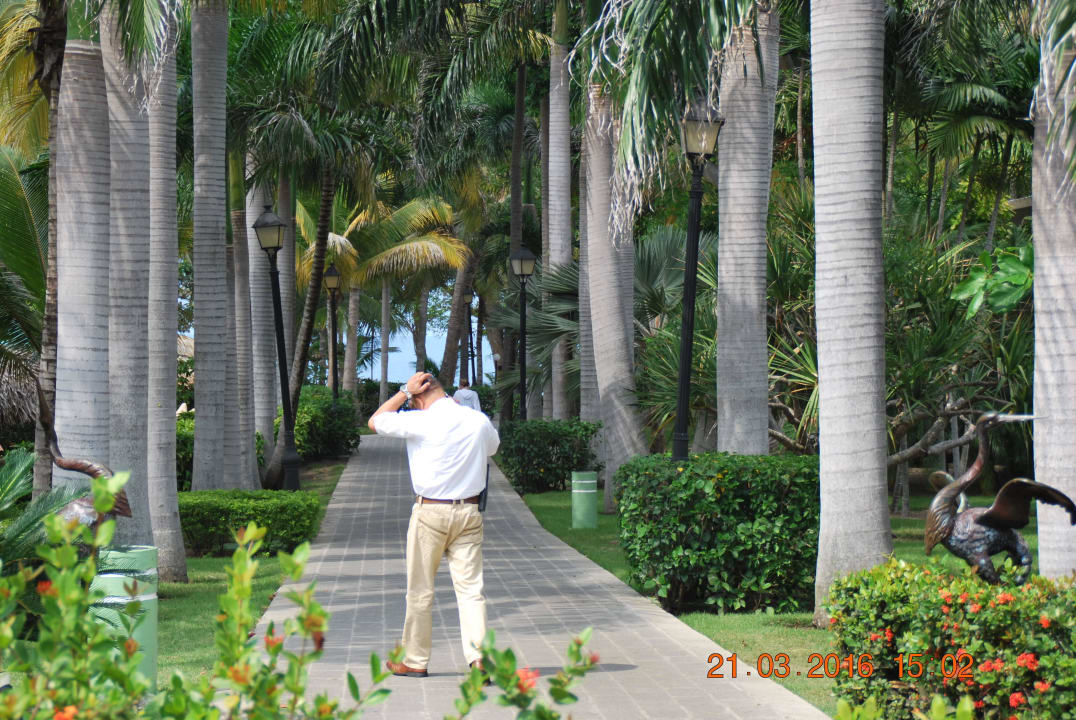 Wunderschöne Gehwege Playabachata Hotel