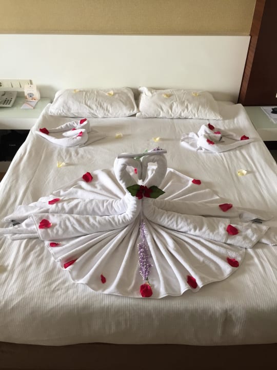 Empfang Seaden Sea World Resort & Spa