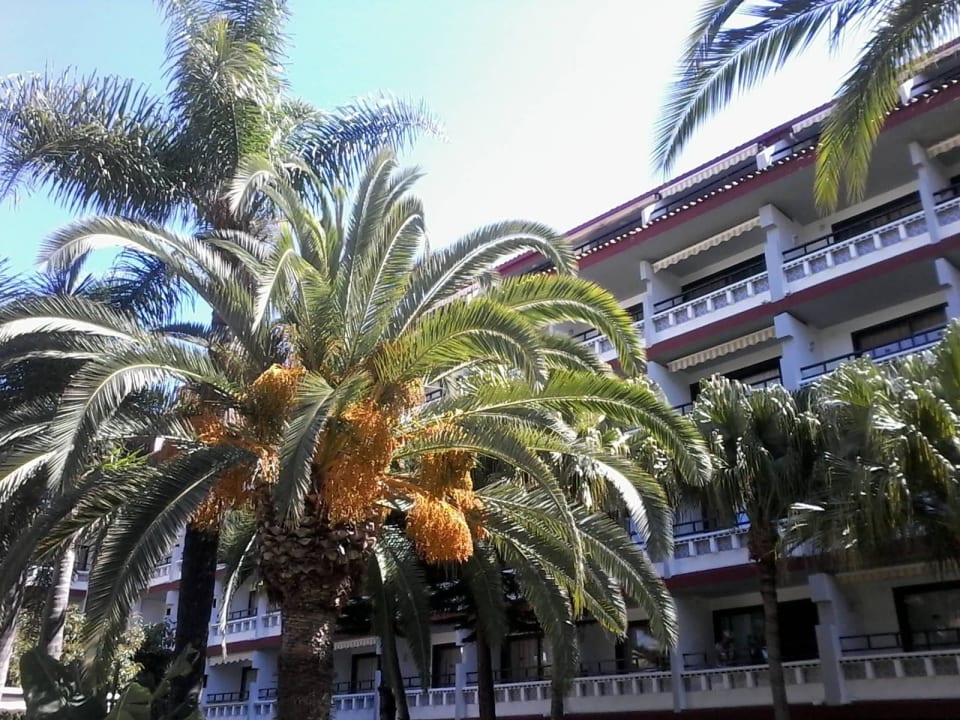 Garten Apartamentos Masaru