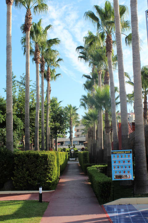 Gartenanlage Hotel Miramare Beach