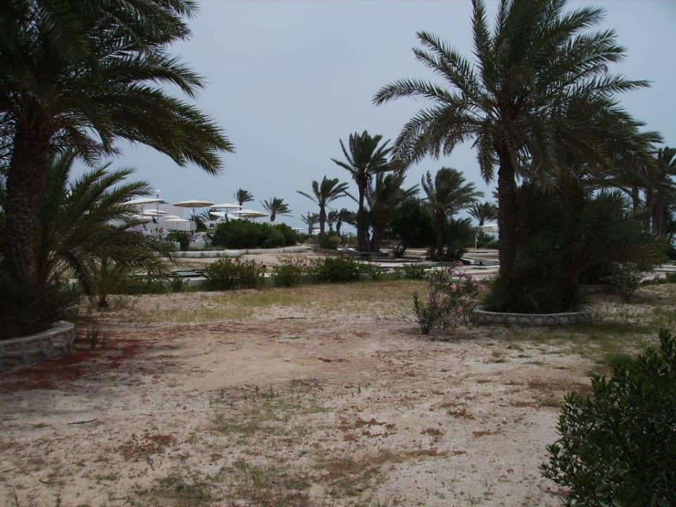 Blick in die Gartenanlage Hotel El Mouradi Djerba Menzel