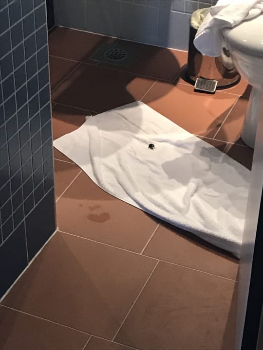 Sonstiges Resort Ilirija Biograd