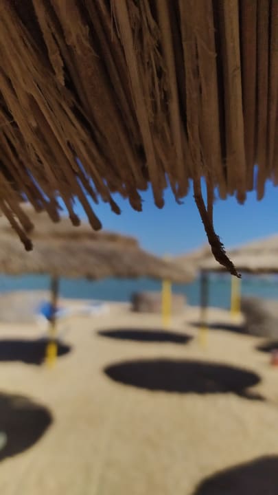 Strand Hotel Titanic Palace