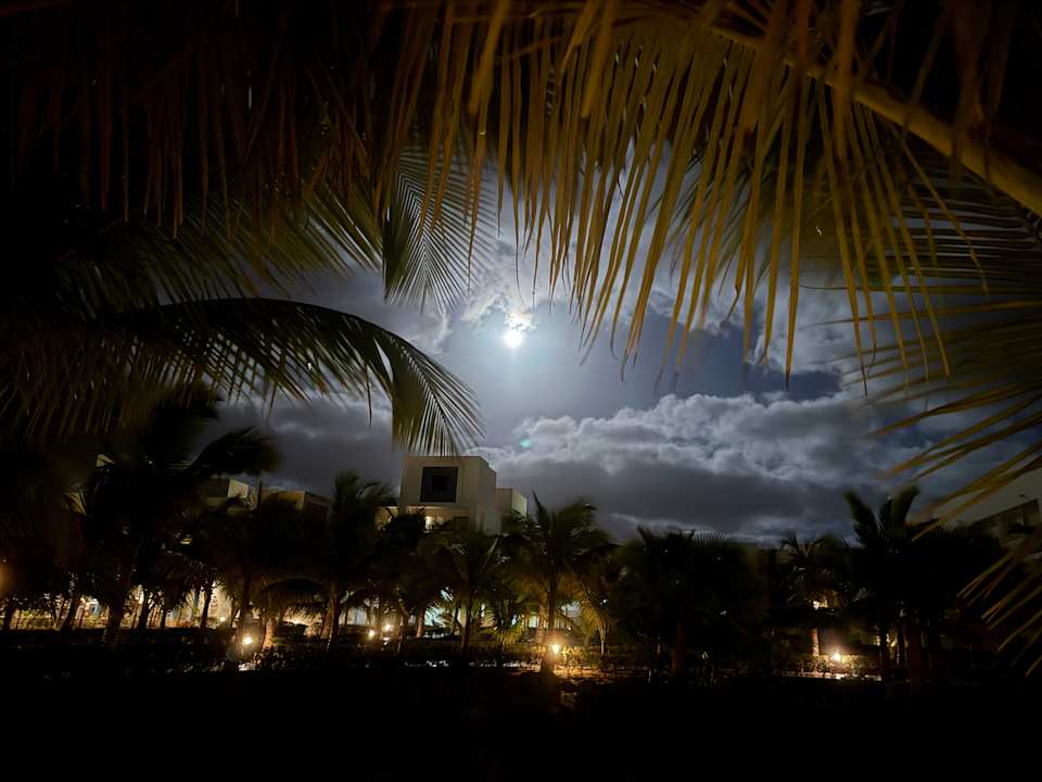Gartenanlage Hotel Riu Palace Boavista