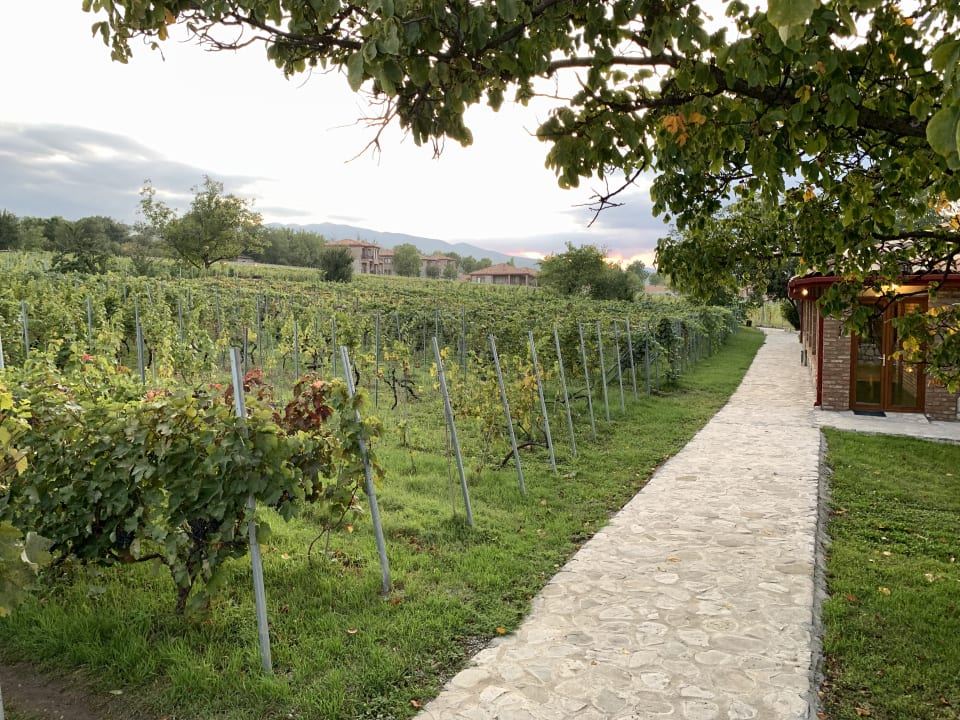 Gartenanlage Hotel Schuchmann Wines Chateau