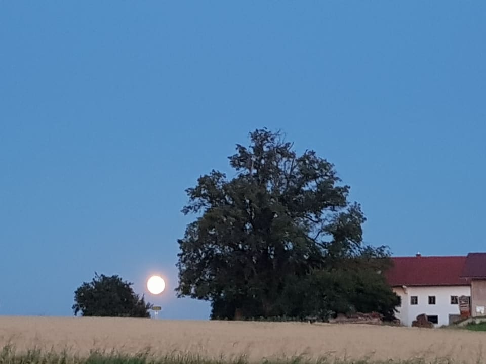 Ausblick Fröschlhof