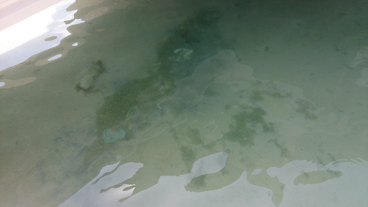 So ernst nimmt man es mit der Reinigung Anantara The Palm Dubai Resort