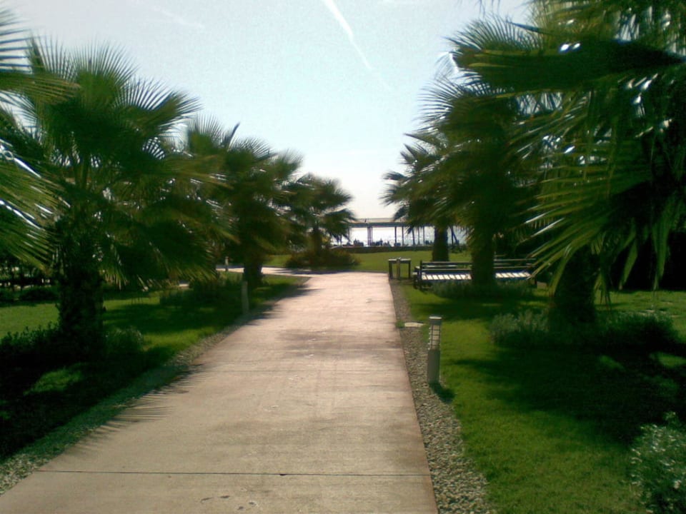 Traumhafter Weg zum Strand Saturn Palace Resort Hotel