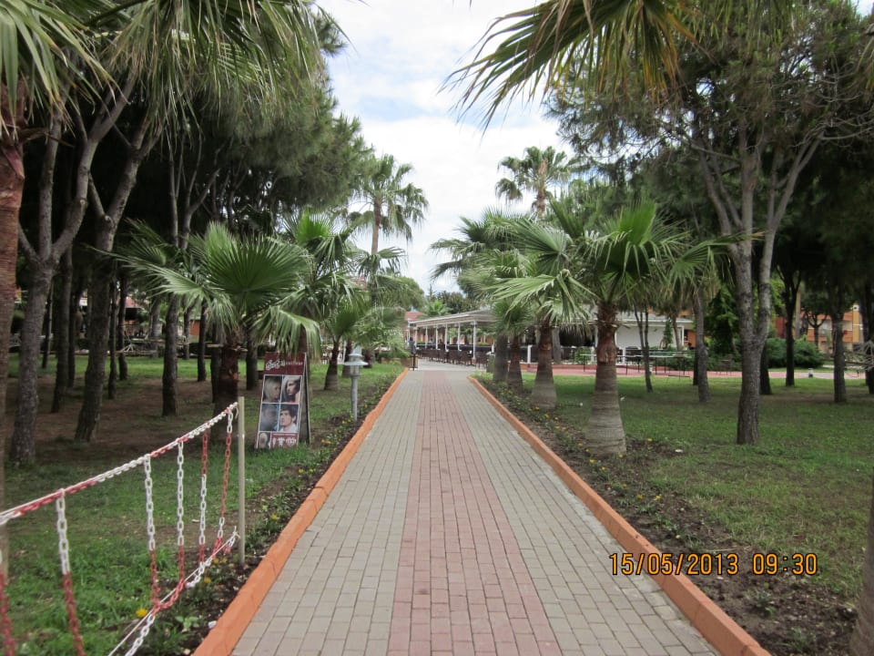 Территория отеля Club Turtas Beach Hotel