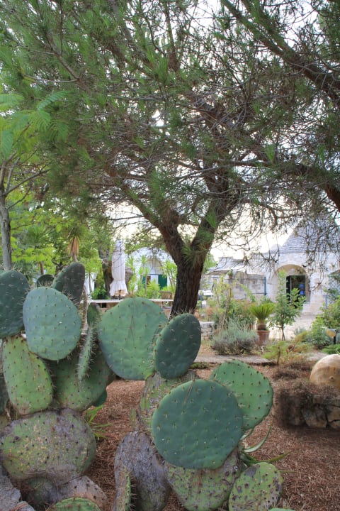 Gartenanlage Ferienhaus La Fogliarella