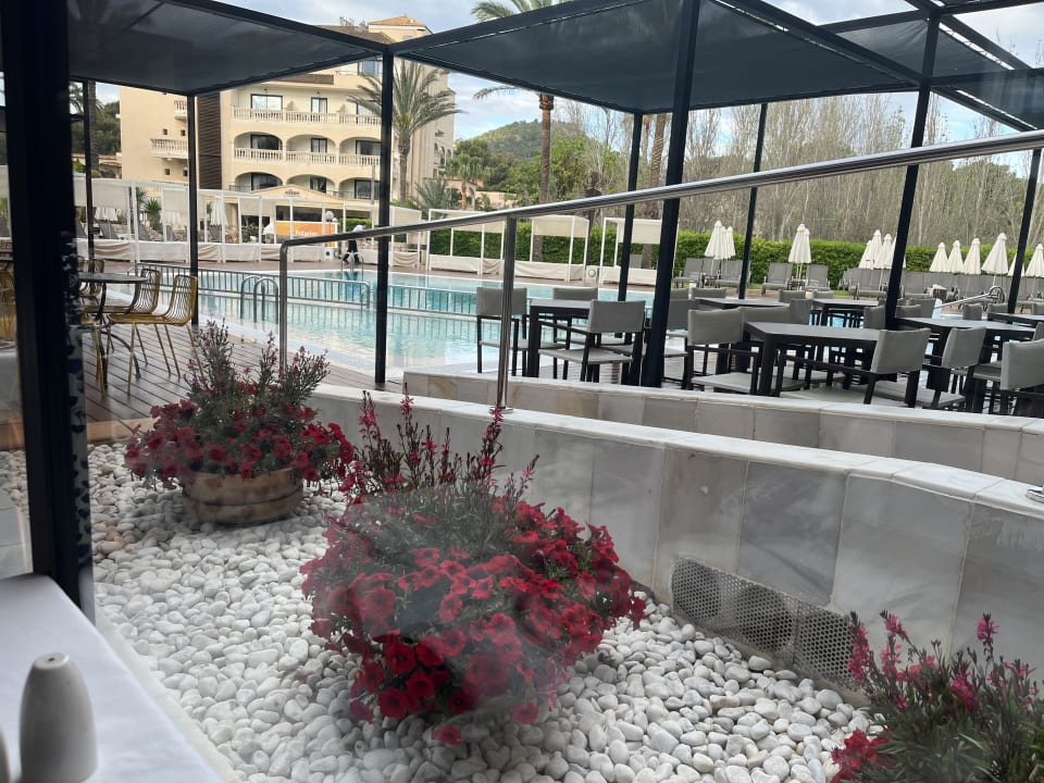 Pool Hotel Serrano Palace