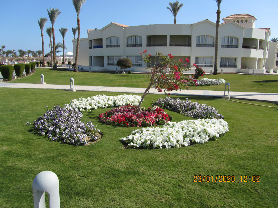 Garten Pickalbatros Dana Beach Resort - Hurghada