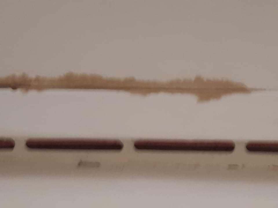 Zimmer Domes Aulūs Zante, Autograph Collection