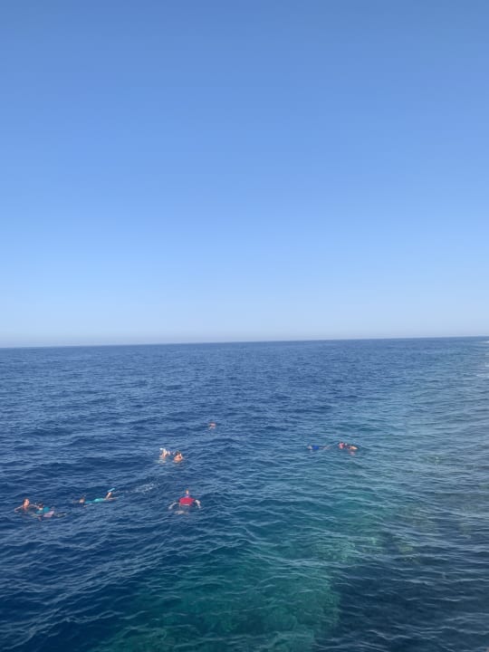 Strand Pickalbatros Sea World Resort - Marsa Alam