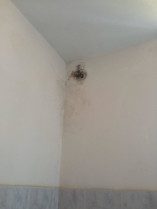 Schimmelfleck Bad Hotel Il Caminetto