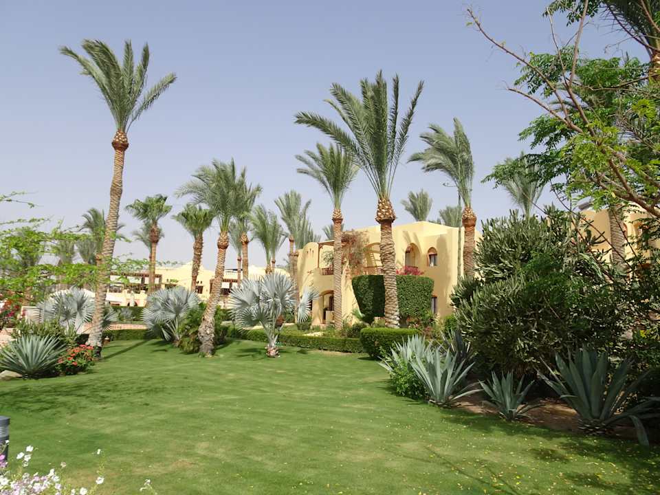 Gartenanlage Steigenberger Coraya Beach - Adults only